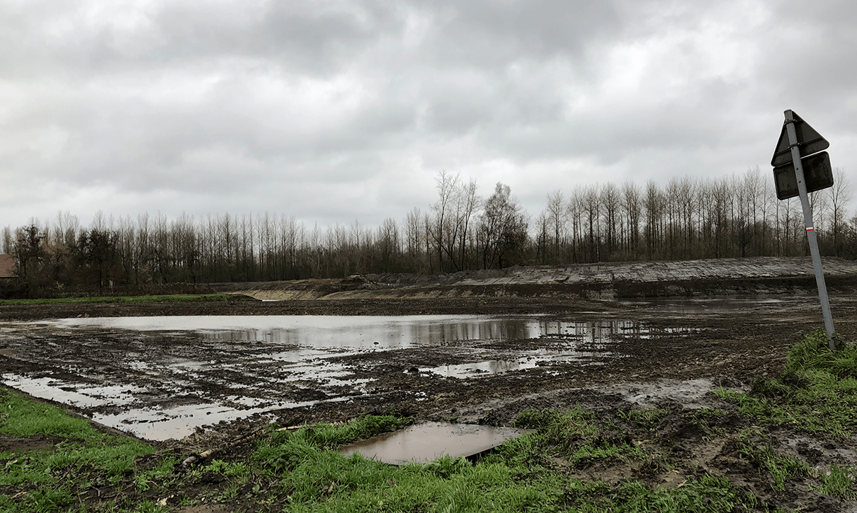 Belgian wetlands